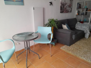 Estudio 15